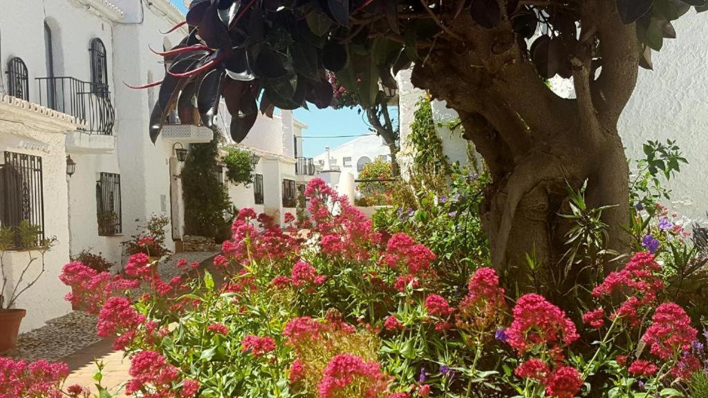 Apartamento Capistrano Village Nerja Bagian luar foto